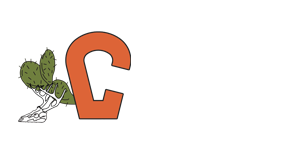 Cactus Fence and Construction