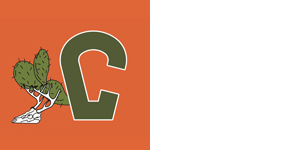 Cactus Fence and Construction